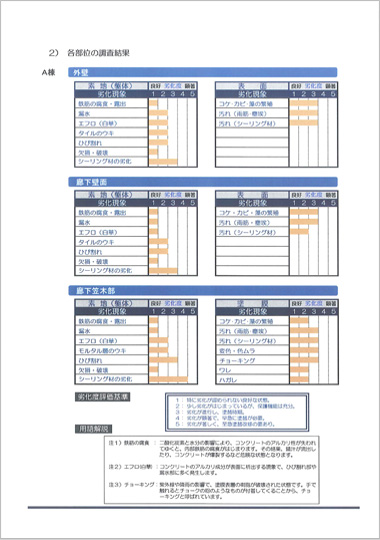 診断報告書